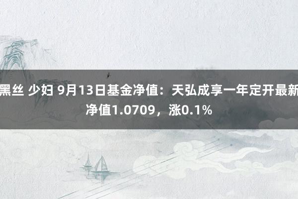 黑丝 少妇 9月13日基金净值：天弘成享一年定开最新净值1.0709，涨0.1%