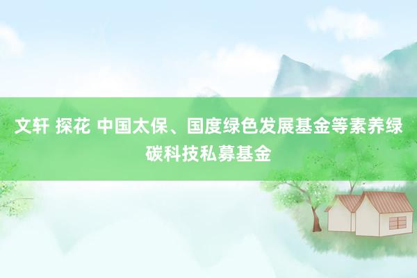文轩 探花 中国太保、国度绿色发展基金等素养绿碳科技私募基金