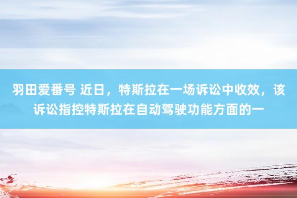 羽田爱番号 近日，特斯拉在一场诉讼中收效，该诉讼指控特斯拉在自动驾驶功能方面的一