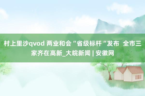 村上里沙qvod 两业和会“省级标杆“发布  全市三家齐在高新_大皖新闻 | 安徽网