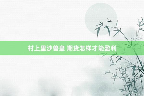 村上里沙兽皇 期货怎样才能盈利