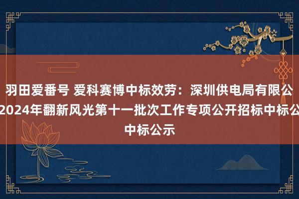 羽田爱番号 爱科赛博中标效劳：深圳供电局有限公司2024年翻新风光第十一批次工作专项公开招标中标公示