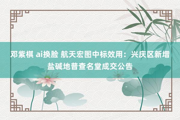邓紫棋 ai换脸 航天宏图中标效用：兴庆区新增盐碱地普查名堂成交公告
