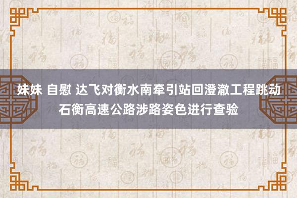 妹妹 自慰 达飞对衡水南牵引站回澄澈工程跳动石衡高速公路涉路姿色进行查验