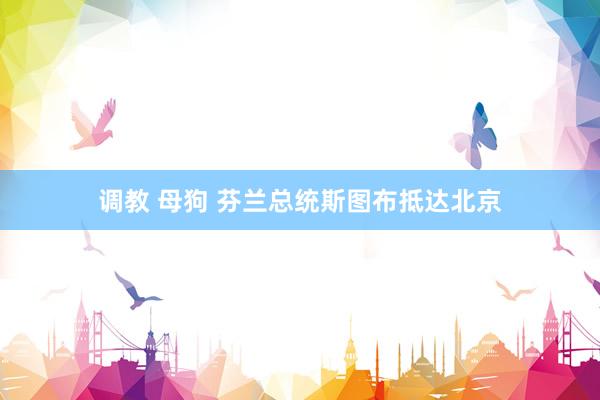 调教 母狗 芬兰总统斯图布抵达北京