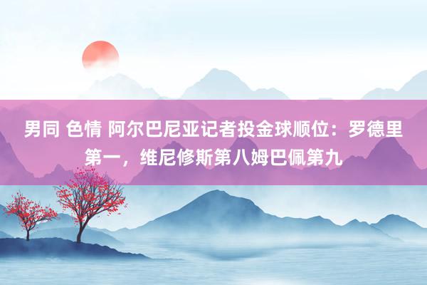 男同 色情 阿尔巴尼亚记者投金球顺位：罗德里第一，维尼修斯第八姆巴佩第九