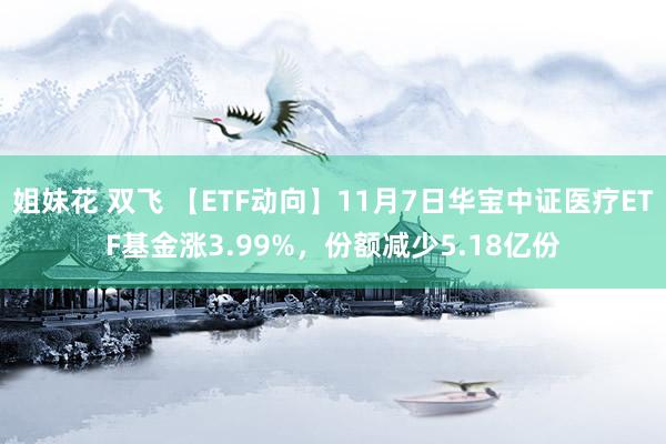 姐妹花 双飞 【ETF动向】11月7日华宝中证医疗ETF基金涨3.99%，份额减少5.18亿份