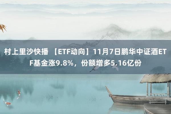 村上里沙快播 【ETF动向】11月7日鹏华中证酒ETF基金涨9.8%,份额增多5.16亿份