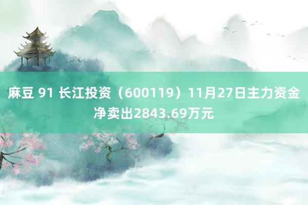 麻豆 91 长江投资（600119）11月27日主力资金净卖出2843.69万元