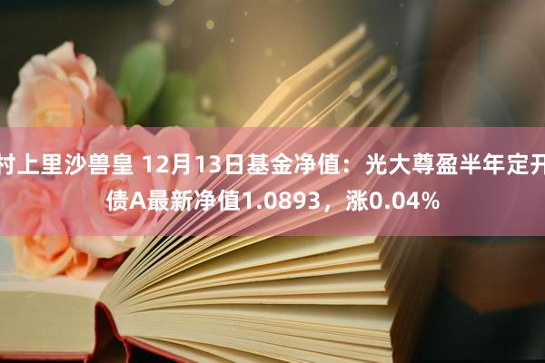 村上里沙兽皇 12月13日基金净值：光大尊盈半年定开债A最新净值1.0893，涨0.04%