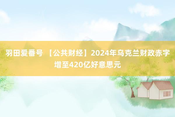 羽田爱番号 【公共财经】2024年乌克兰财政赤字增至420亿好意思元