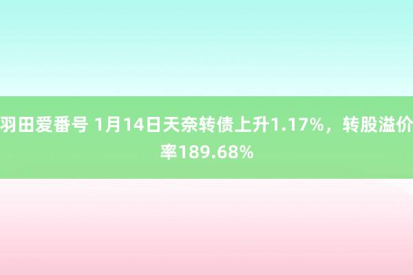 羽田爱番号 1月14日天奈转债上升1.17%，转股溢价率189.68%
