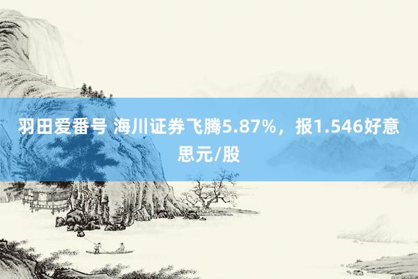 羽田爱番号 海川证券飞腾5.87%，报1.546好意思元/股