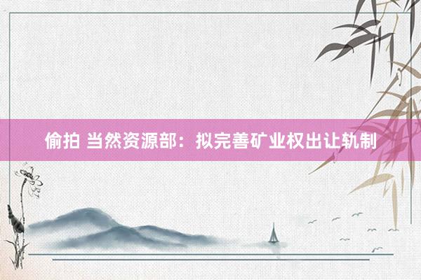 偷拍 当然资源部：拟完善矿业权出让轨制