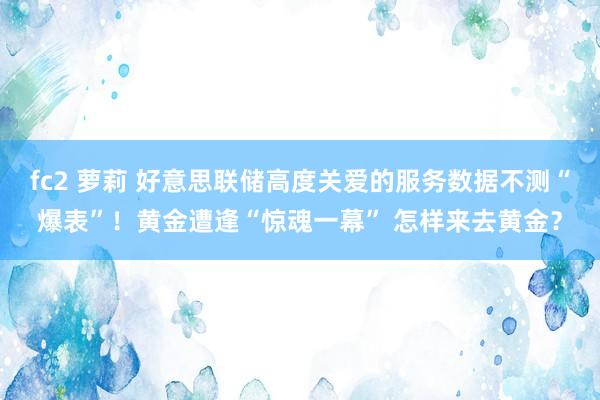 fc2 萝莉 好意思联储高度关爱的服务数据不测“爆表”！黄金遭逢“惊魂一幕” 怎样来去黄金？