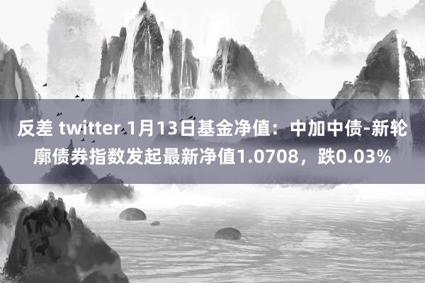 反差 twitter 1月13日基金净值：中加中债-新轮廓债券指数发起最新净值1.0708，跌0.03%