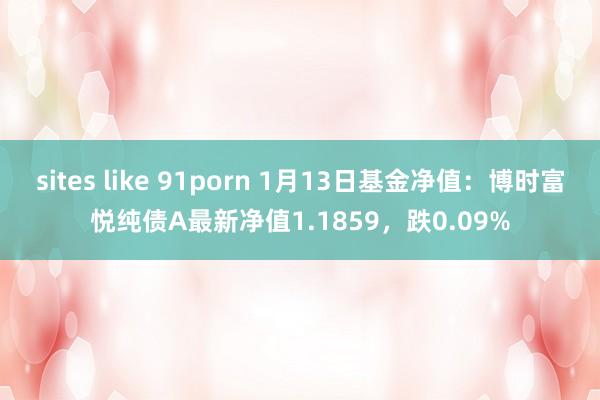 sites like 91porn 1月13日基金净值：博时富悦纯债A最新净值1.1859，跌0.09%