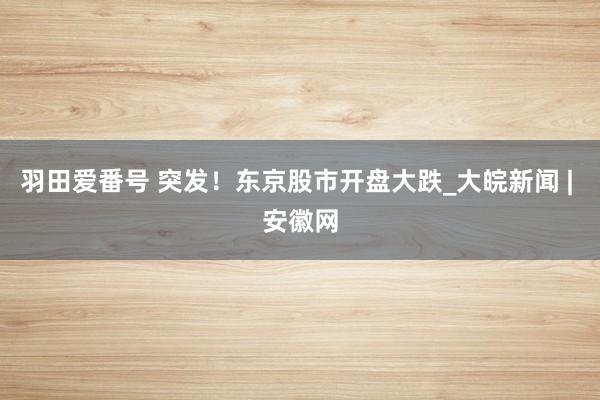 羽田爱番号 突发！东京股市开盘大跌_大皖新闻 | 安徽网