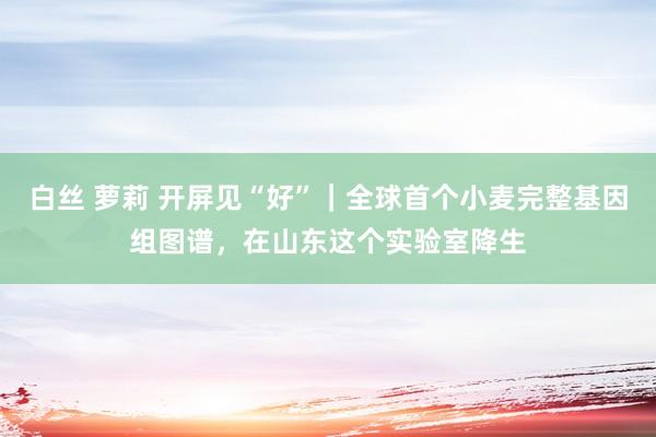 白丝 萝莉 开屏见“好”｜全球首个小麦完整基因组图谱，在山东这个实验室降生