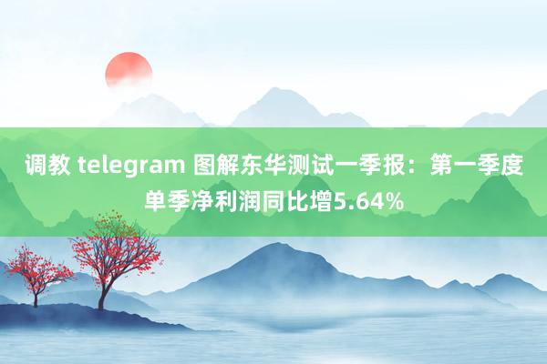 调教 telegram 图解东华测试一季报：第一季度单季净利润同比增5.64%