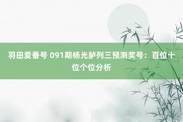 羽田爱番号 091期杨光胪列三预测奖号：百位十位个位分析